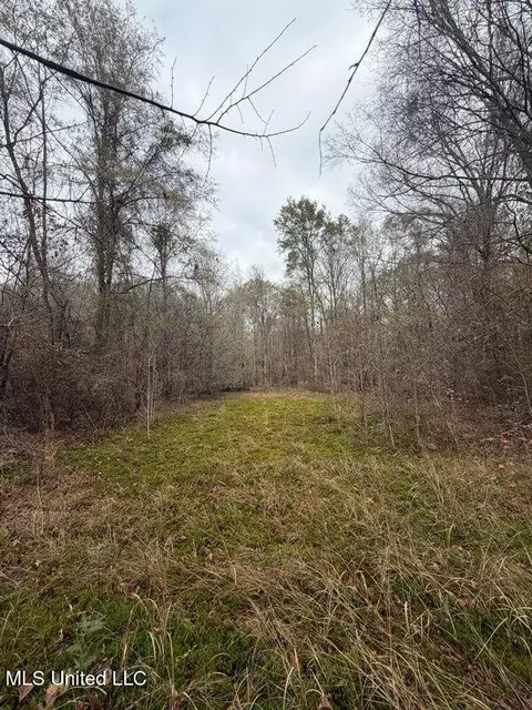 N Us-11 Highway, Enterprise, MS 39330 photo 15
