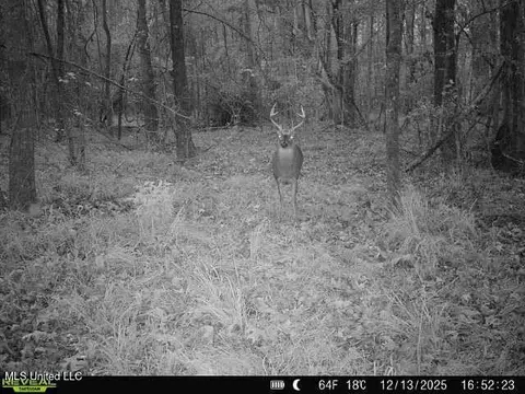 N Us-11 Highway, Enterprise, MS 39330 photo 10