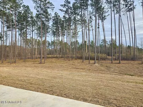 Other - 234 Lost Oak Ln, Brandon, MS 39047 photo 11 of 12