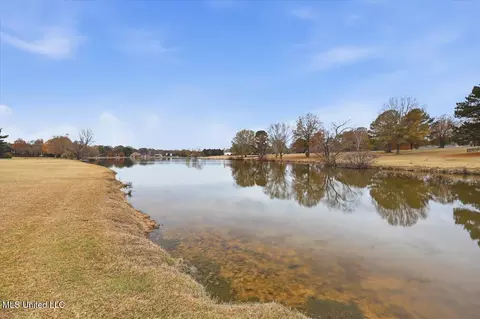View/Area - 116 Sky Meadow Rd, Flora, MS 39071 photo 2 of 3