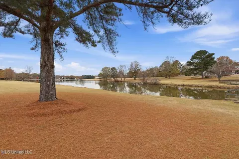 View/Area - 116 Sky Meadow Rd, Flora, MS 39071 photo 1 of 3