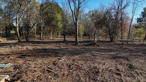 0 Potluck Rd, Canton, MS 39046 photo 4