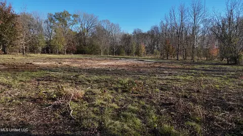 0 Potluck Rd, Canton, MS 39046 photo 7