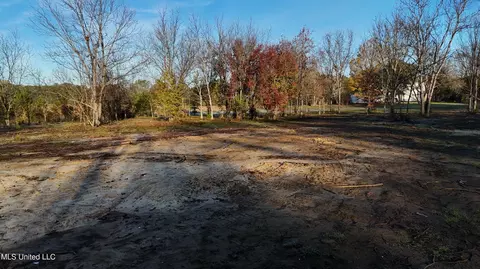 0 Potluck Rd, Canton, MS 39046 photo 3
