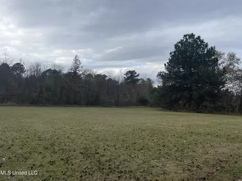 Other - 1840 Jack Johnson Rd, Terry, MS 39170 photo 2 of 28
