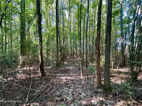 tbd NE Williams St, Brookhaven, MS 39601 photo 4
