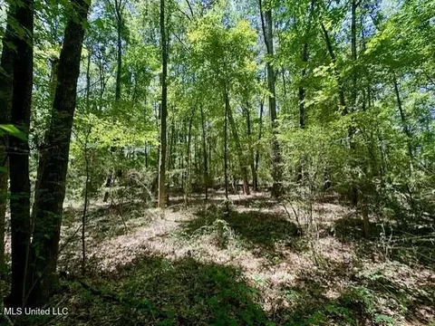 tbd NE Williams St, Brookhaven, MS 39601 photo 11