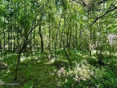tbd NE Williams St, Brookhaven, MS 39601 photo 14
