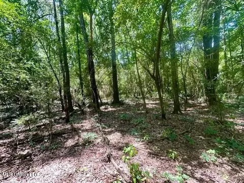 tbd NE Williams St, Brookhaven, MS 39601 photo 10