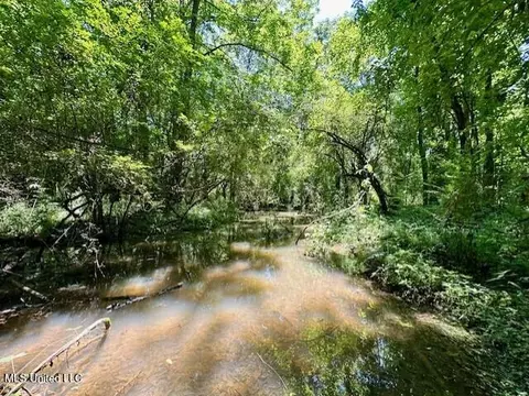 tbd NE Williams St, Brookhaven, MS 39601 photo 15