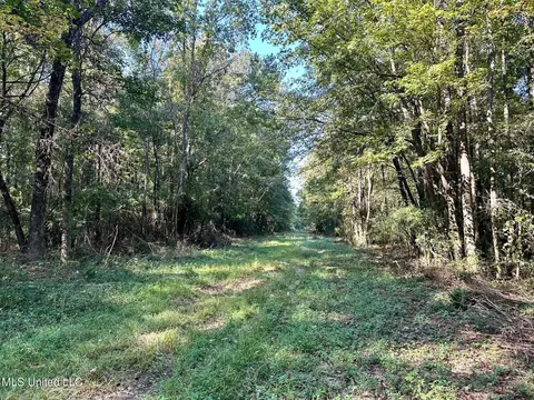 tbd NE Williams St, Brookhaven, MS 39601 photo 2