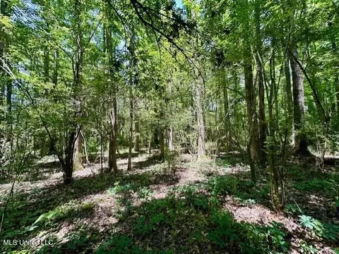 tbd NE Williams St, Brookhaven, MS 39601 photo 7
