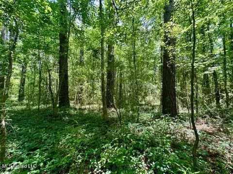 tbd NE Williams St, Brookhaven, MS 39601 photo 6
