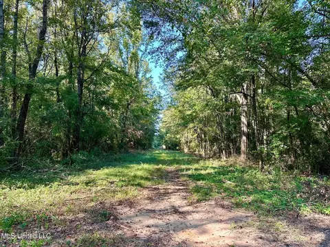 tbd NE Williams St, Brookhaven, MS 39601