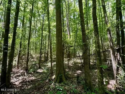 tbd NE Williams St, Brookhaven, MS 39601 photo 12