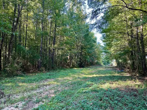 tbd NE Williams St, Brookhaven, MS 39601 photo 3