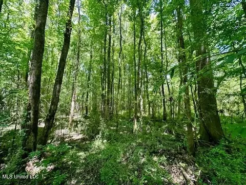 tbd NE Williams St, Brookhaven, MS 39601 photo 13