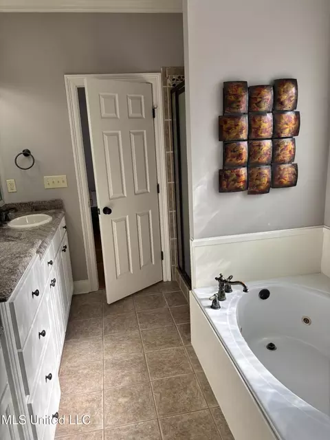 Bath - 406 Providence Dr, Brandon, MS 39042 photo 2 of 3
