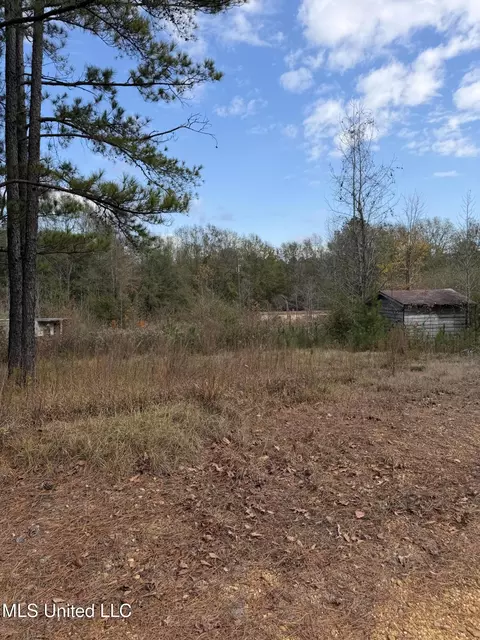 393 SW Cripple Ln, Brookhaven, MS 39601