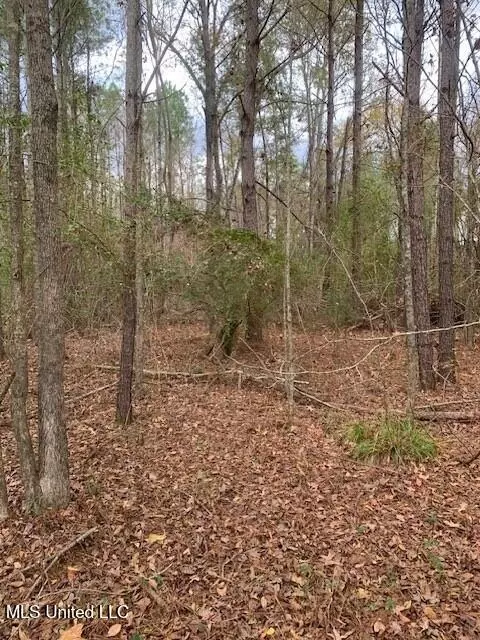 4900 Old Highway 51, Terry, MS 39170