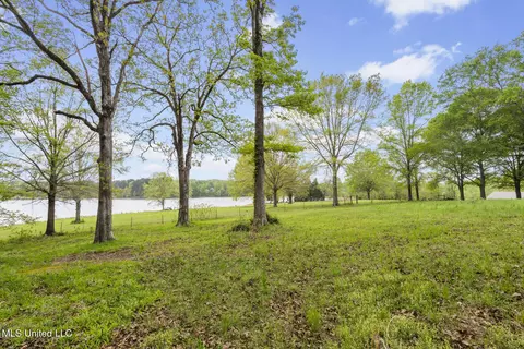 Other - 151 Chapel Hill Rd, Flora, MS 39071 photo 13 of 13