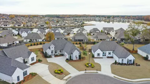 View/Area - 115 Paylors Way, Madison, MS 39110 photo 3 of 6