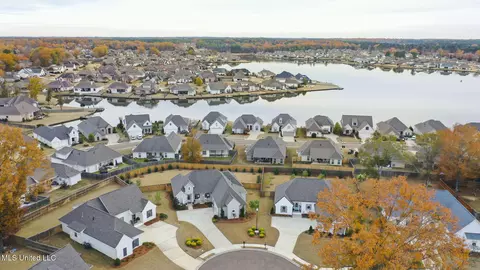 View/Area - 115 Paylors Way, Madison, MS 39110 photo 1 of 6