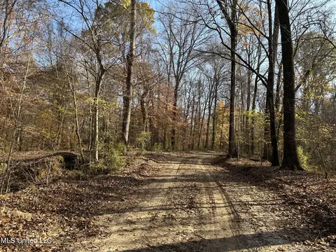 Henderson Road, Bentonia, MS 39040