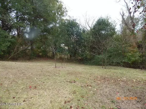 Exterior - 87 W Wilderness Rd, Natchez, MS 39120 photo 4 of 4