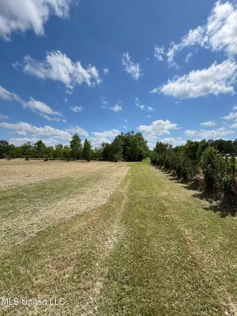 8485 James Pierce Rd, Moss Point, MS 39562 photo 3