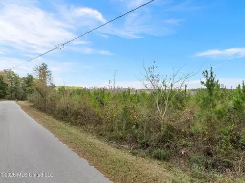 83 50 Acre Carter Guthrie Rd, Moselle, MS 39459 photo 2