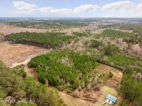 83 50 Acre Carter Guthrie Rd, Moselle, MS 39459 photo 17