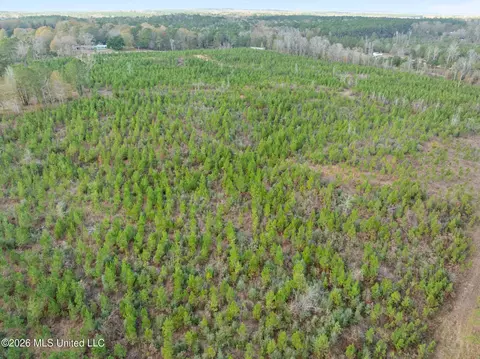 83 50 Acre Carter Guthrie Rd, Moselle, MS 39459 photo 9