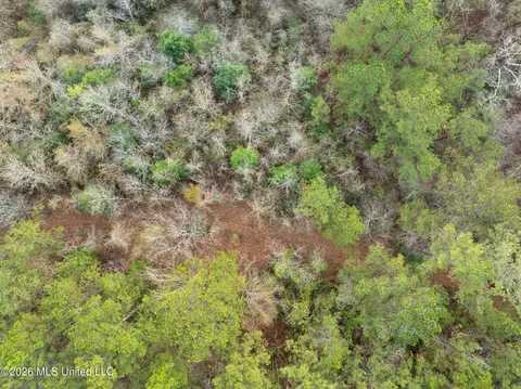 83 50 Acre Carter Guthrie Rd, Moselle, MS 39459 photo 11