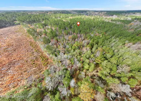 83 50 Acre Carter Guthrie Rd, Moselle, MS 39459 photo 14