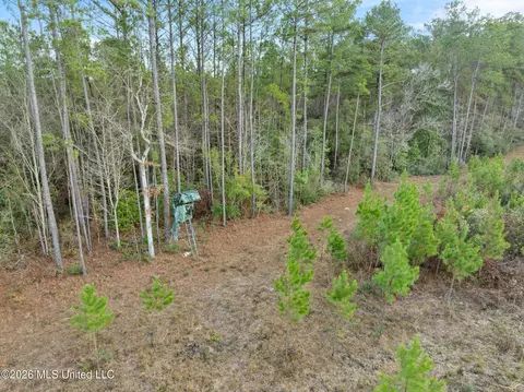 83 50 Acre Carter Guthrie Rd, Moselle, MS 39459 photo 7