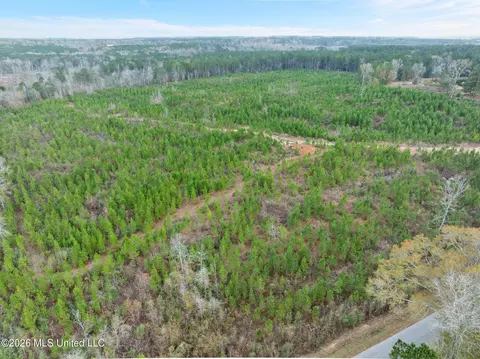 83 50 Acre Carter Guthrie Rd, Moselle, MS 39459 photo 5