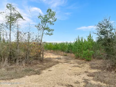 83 50 Acre Carter Guthrie Rd, Moselle, MS 39459 photo 3