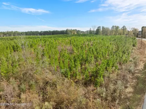 83 50 Acre Carter Guthrie Rd, Moselle, MS 39459 photo 4