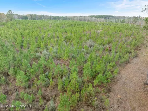 83 50 Acre Carter Guthrie Rd, Moselle, MS 39459 photo 8