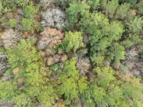 83 50 Acre Carter Guthrie Rd, Moselle, MS 39459 photo 12