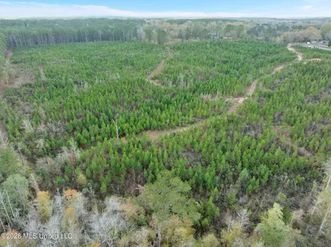 83 50 Acre Carter Guthrie Rd, Moselle, MS 39459 photo 6