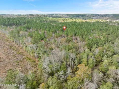 83 50 Acre Carter Guthrie Rd, Moselle, MS 39459 photo 13