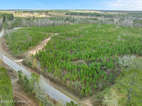 83 50 Acre Carter Guthrie Rd, Moselle, MS 39459