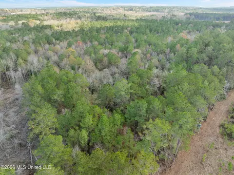 83 50 Acre Carter Guthrie Rd, Moselle, MS 39459 photo 10