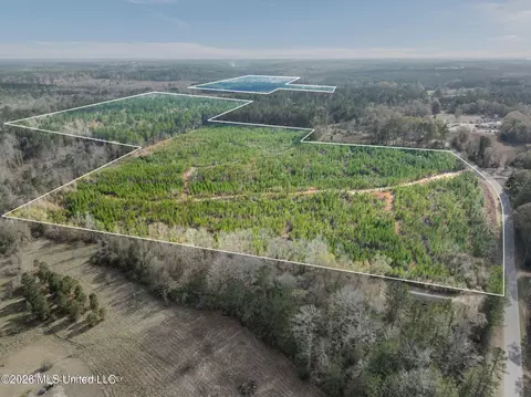 83 50 Acre Carter Guthrie Rd, Moselle, MS 39459 photo 15