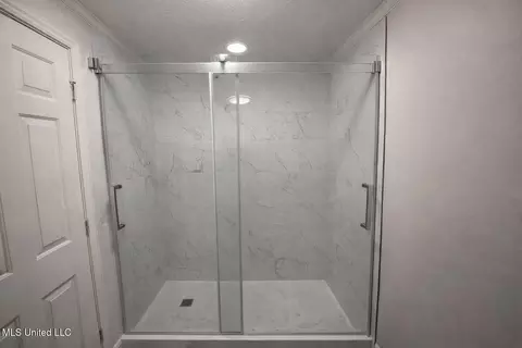 Bath - 717 Wildberry Pointe, Madison, MS 39110 photo 1 of 1