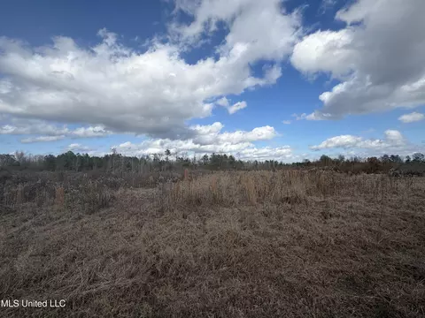 0 Clem Rd, Prentiss, MS 39474