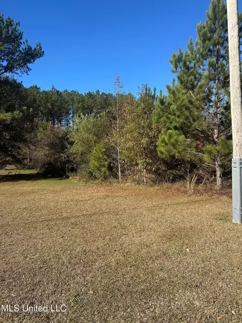 Deer Ridge Road, Mccomb, MS 39648 photo 12