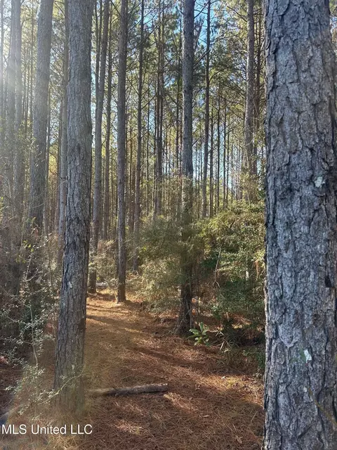 Deer Ridge Road, Mccomb, MS 39648 photo 13